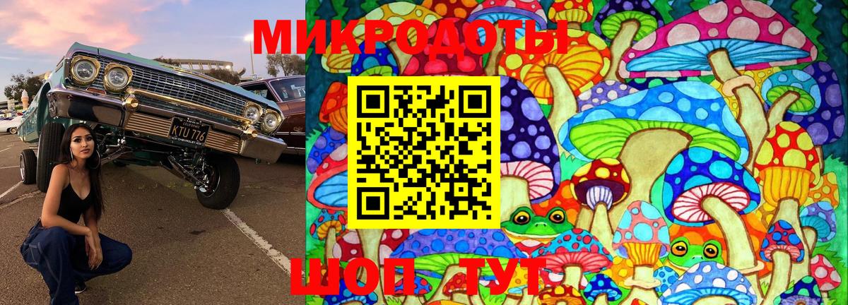 Псилоцибиновые грибы Psilocybine cubensis  Вход с VPN  Серов  Псилоцибиновые грибы GOLDEN TEACHER 
